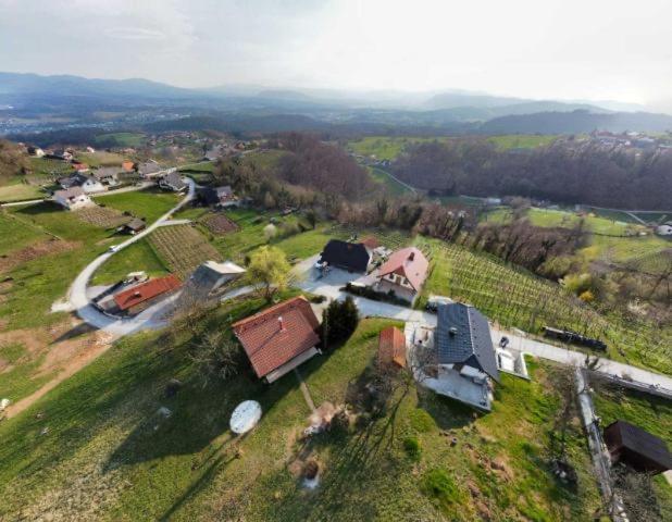 Vineyard Cottage Klemencic Novo Mesto Exterior foto